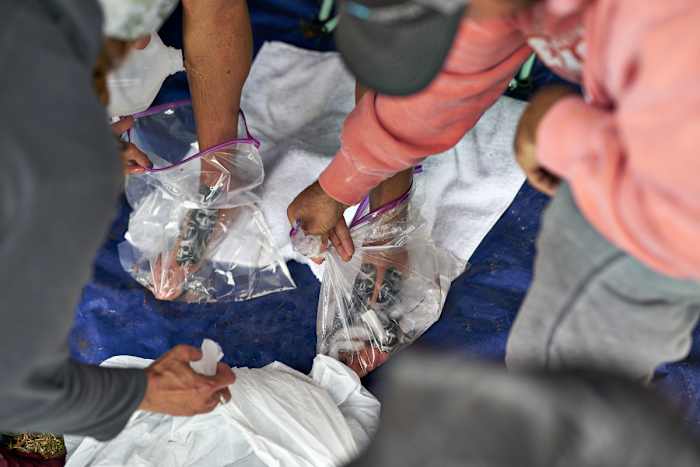 X162997_TK1_0524_rawfinal